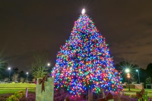 Christmas Lighted Parade & Santa Visit